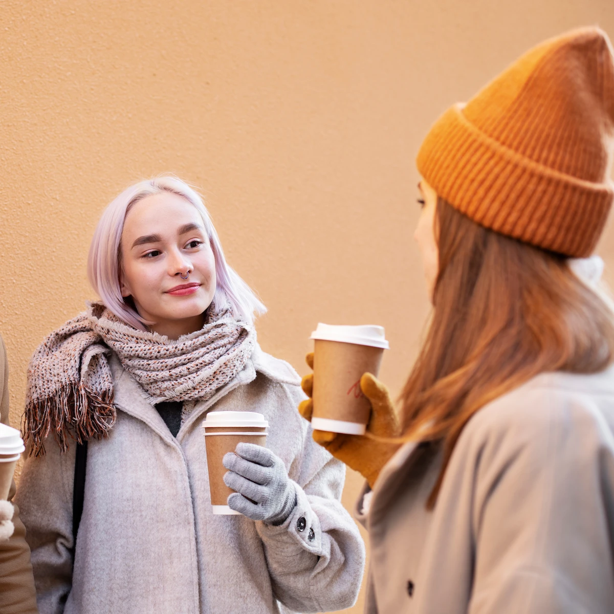 entegrasyon-danismanligi-01